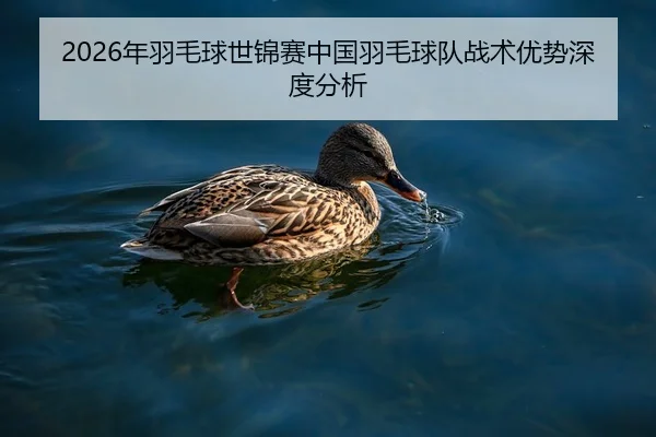 2026年羽毛球世锦赛中国羽毛球队战术优势深度分析
