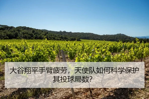 da-gu-xiang-ping-shou-bi-pi-lao-tian-shi-dui-ru-he-ke-xue-bao-hu-qi-tou-qiu-ju-shu-3-779.jpg